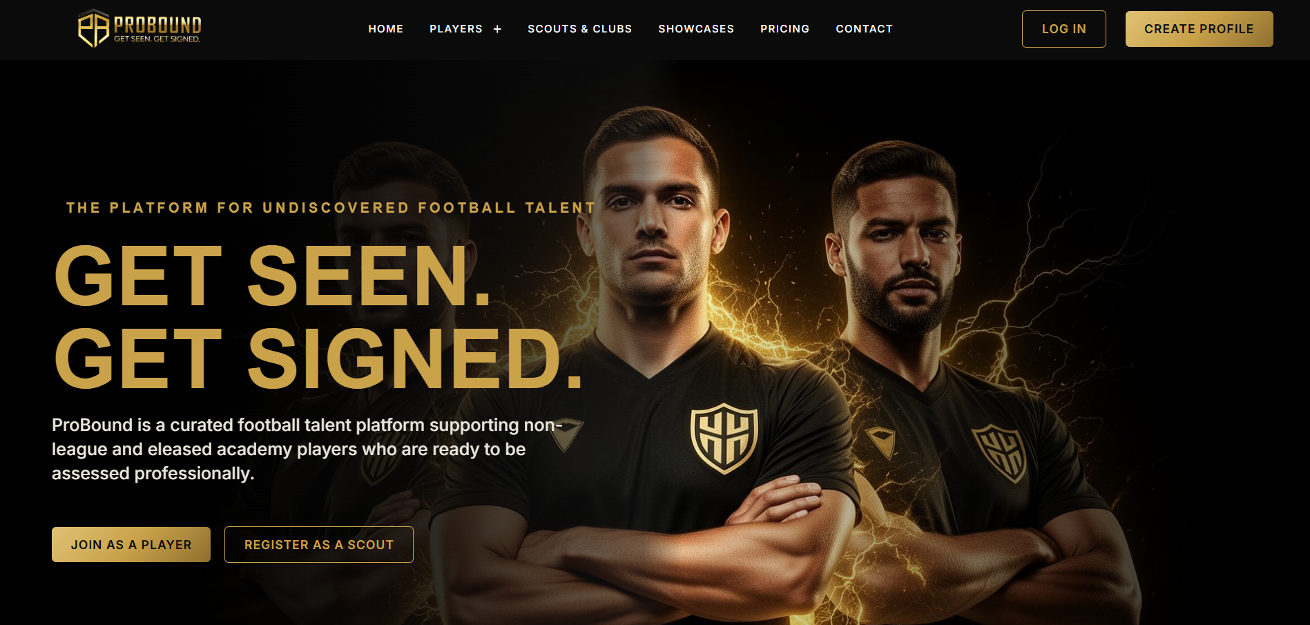 Probound website preview